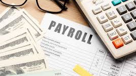 Payroll management software